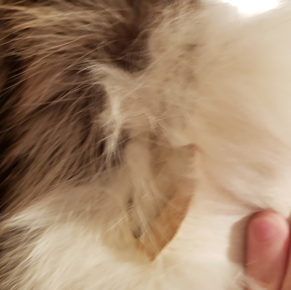 Harry Kirshner & Sons 90s NYC Fashion District Fur - Picture 10 of 14